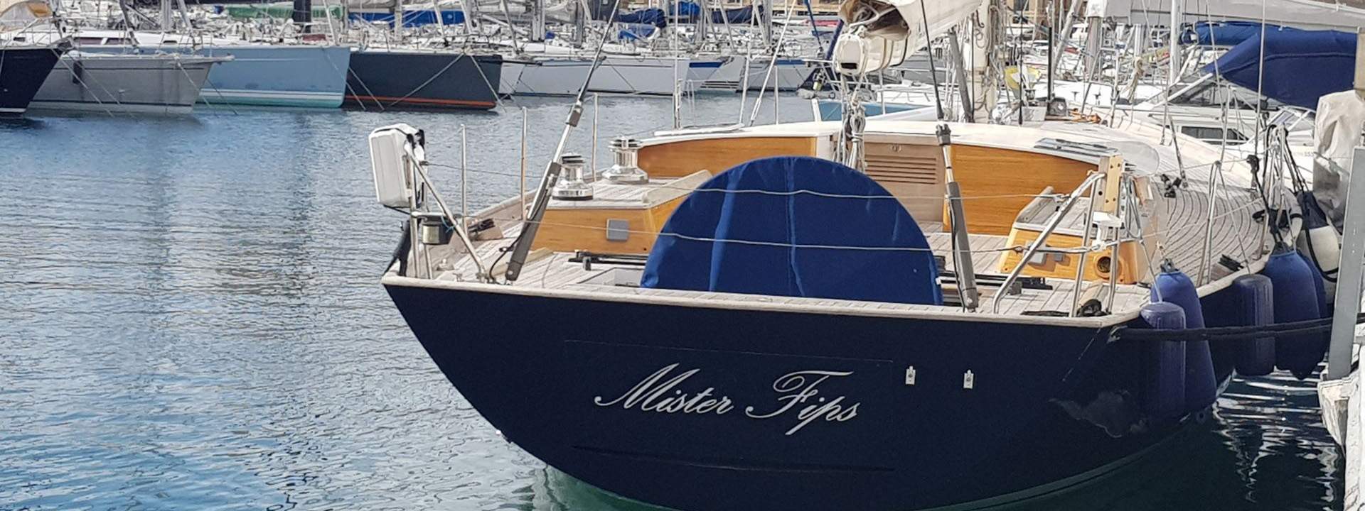 Segelboot Mr Fip's