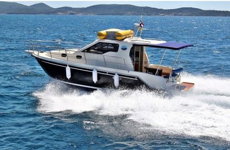 Barco a motor SAS Vektor 950