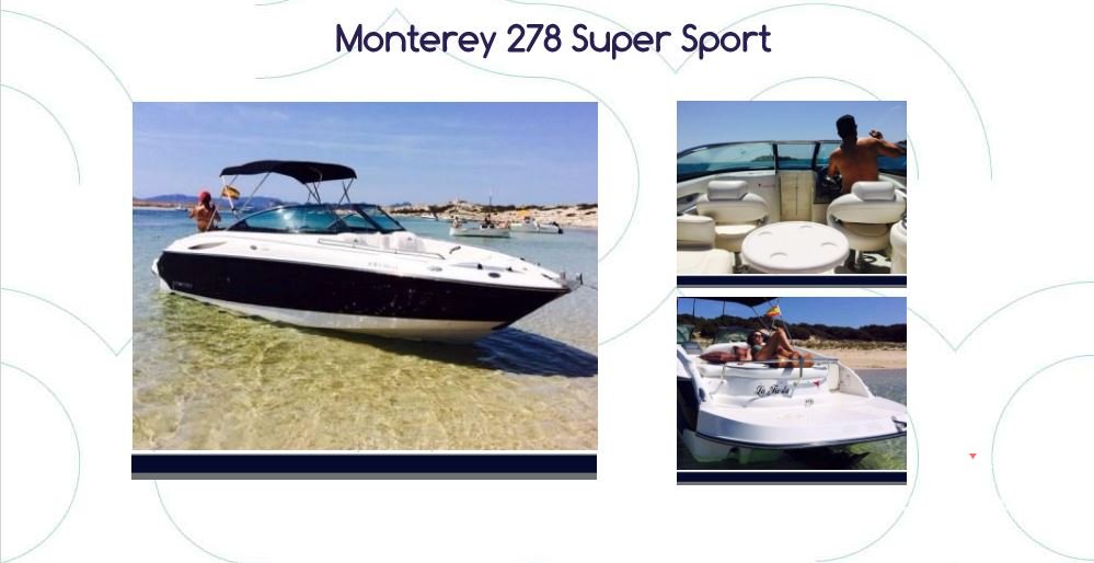 Motor boat Monterey 278 SS
