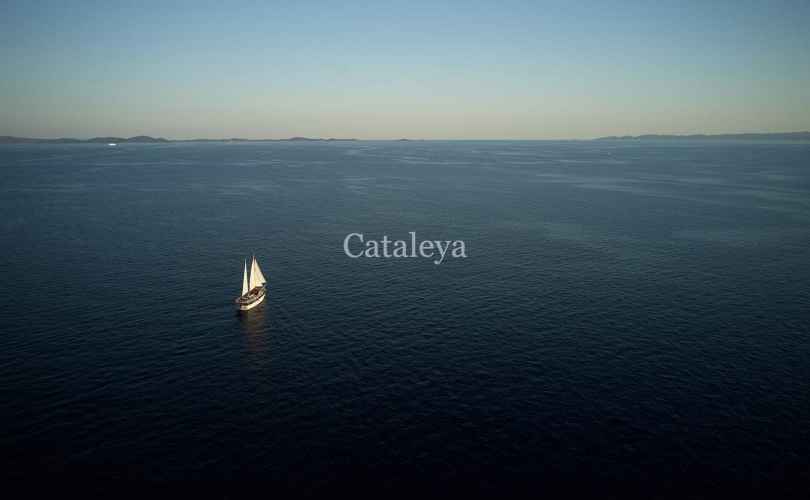 Photo Cataleya (Ex Vjeko) (2009)