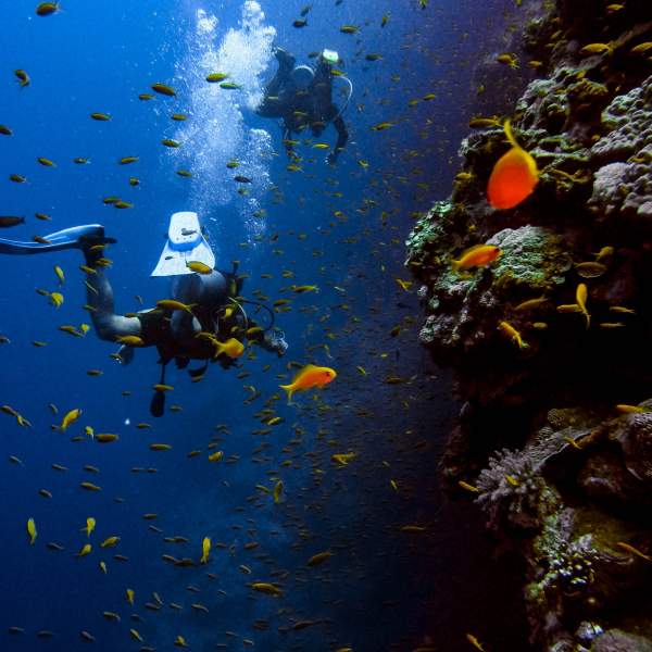 Photo Croisière plongée en Égypte