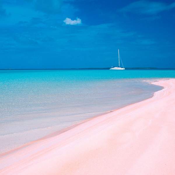 Enjoy Pink Sand beach