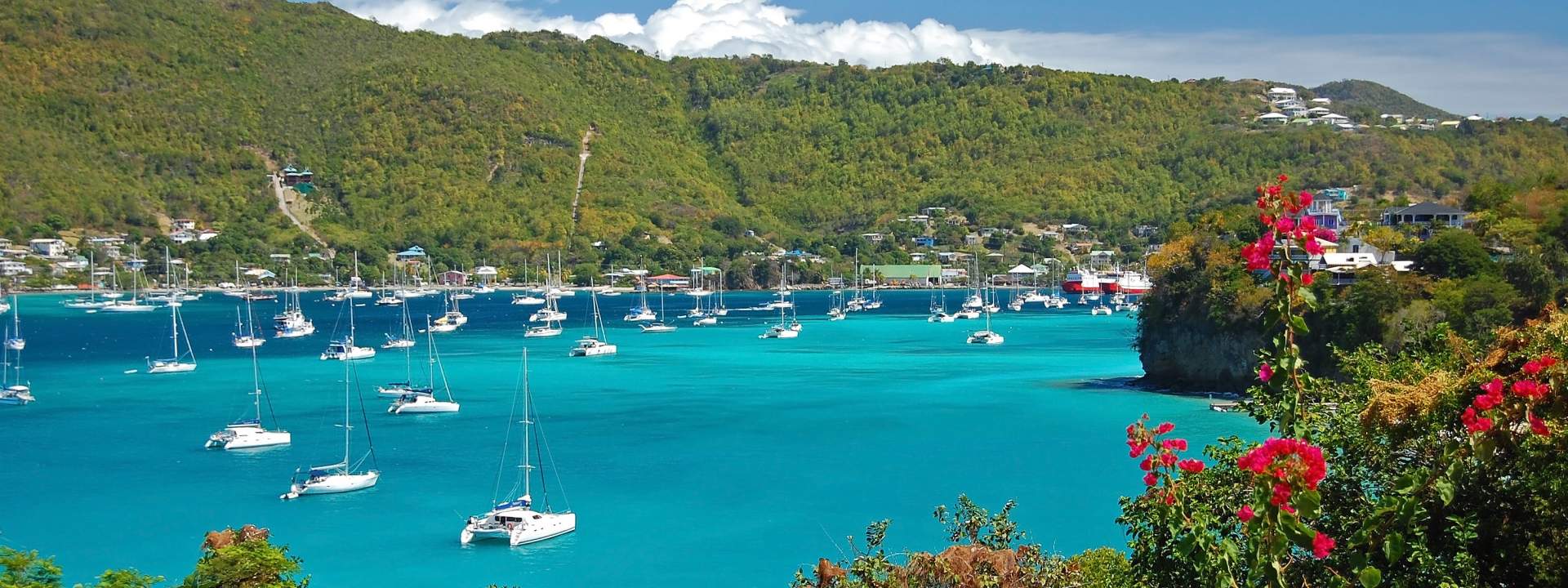 Sail around the Grenadines aboard a catamaran