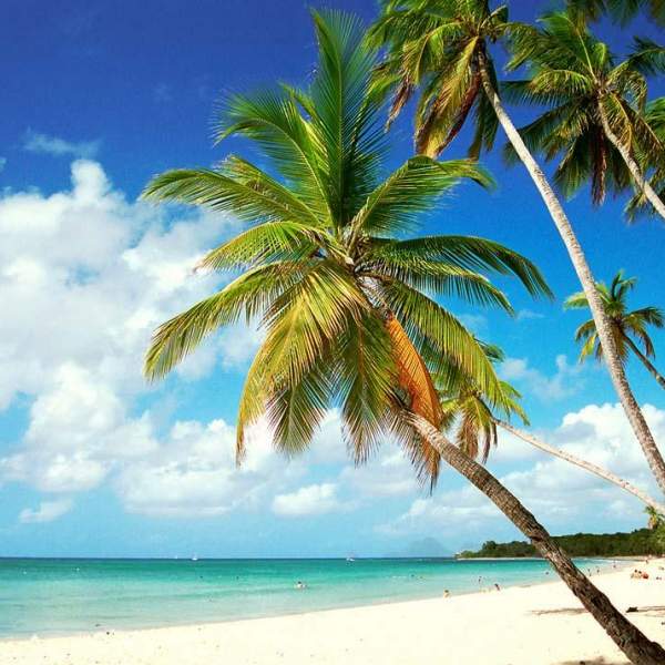 Les plages de Caraïbes