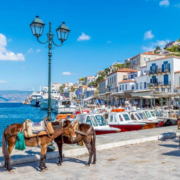 Visit Hydra by foot or by donkey!