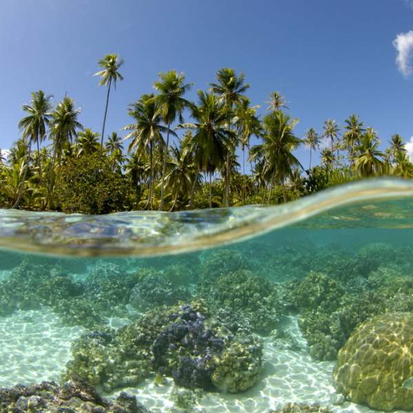 Photo À la rencontre des Vahinés de Tahiti