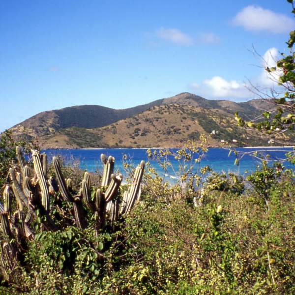 Norman Island, la isla que inspiró a Robert Louis Stevenson
