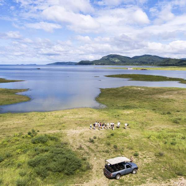 Photo L'Afrique Australe en croisière-safari