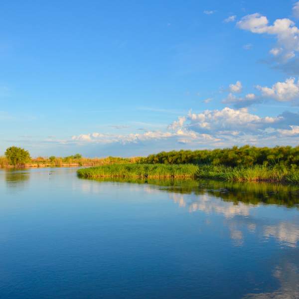 Photo Eine Safari-Kreuzfahrt im Süden Afrikas