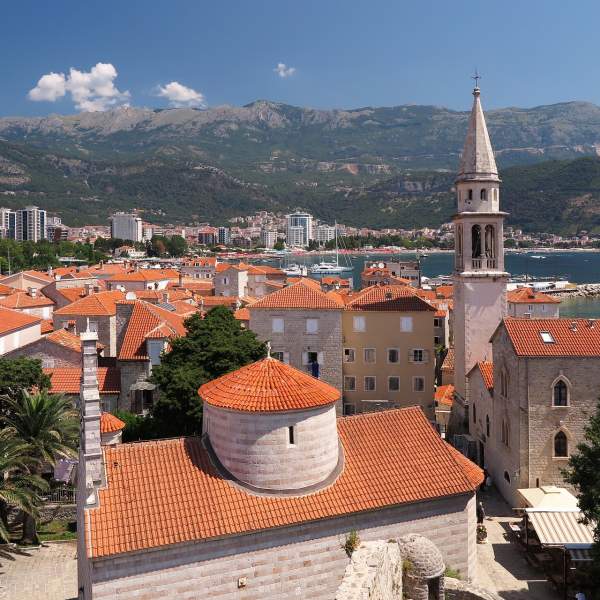 Discover the vineyards of Korcula!