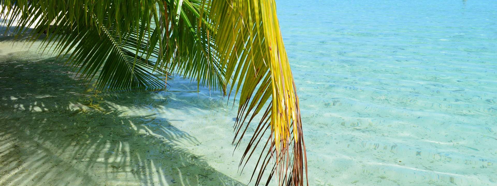 Entdecken Sie Polynesien in 11 Tagen zu Land und zu Wasser