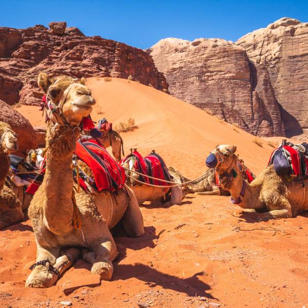 L’impressionnant désert de Wadi Rum