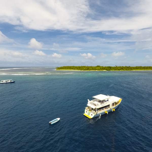 Photo Kreuzfahrt und Surfen auf den Malediven