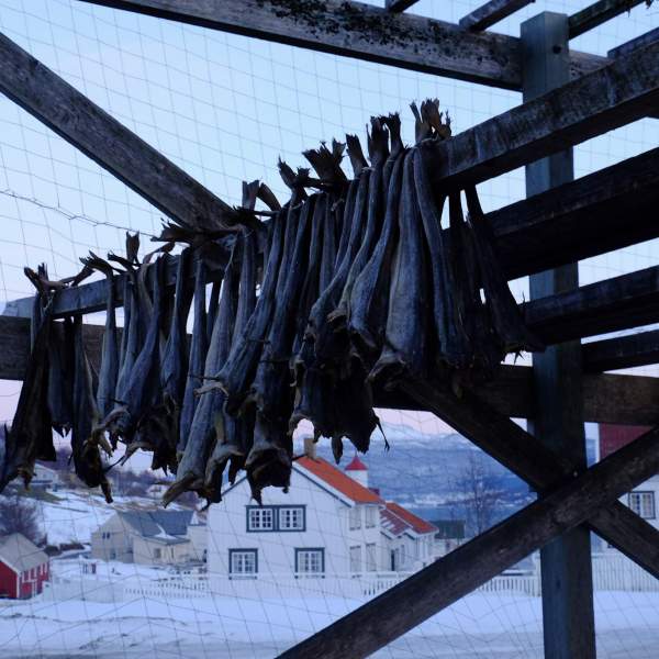 The inevitable herring stalls