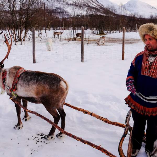 Lapland, the land of reindeer and Santa Claus