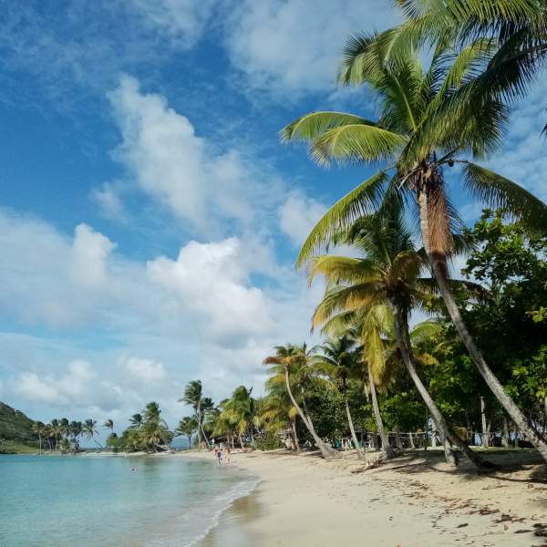 Discover Mayreau and its palm-fringed beach