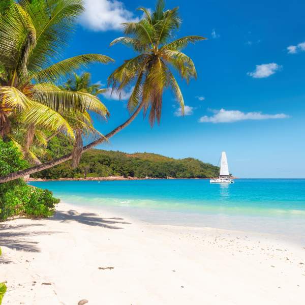 Photo Segeln Sie mit einem Katamaran auf den Seychellen