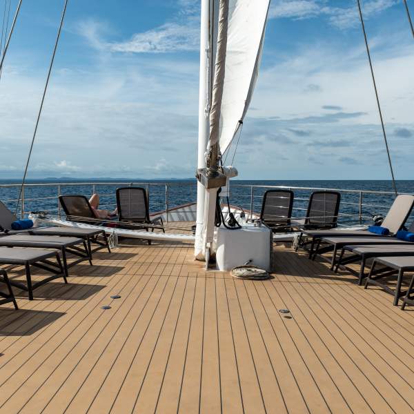 An ideal sun deck for observing the coast!