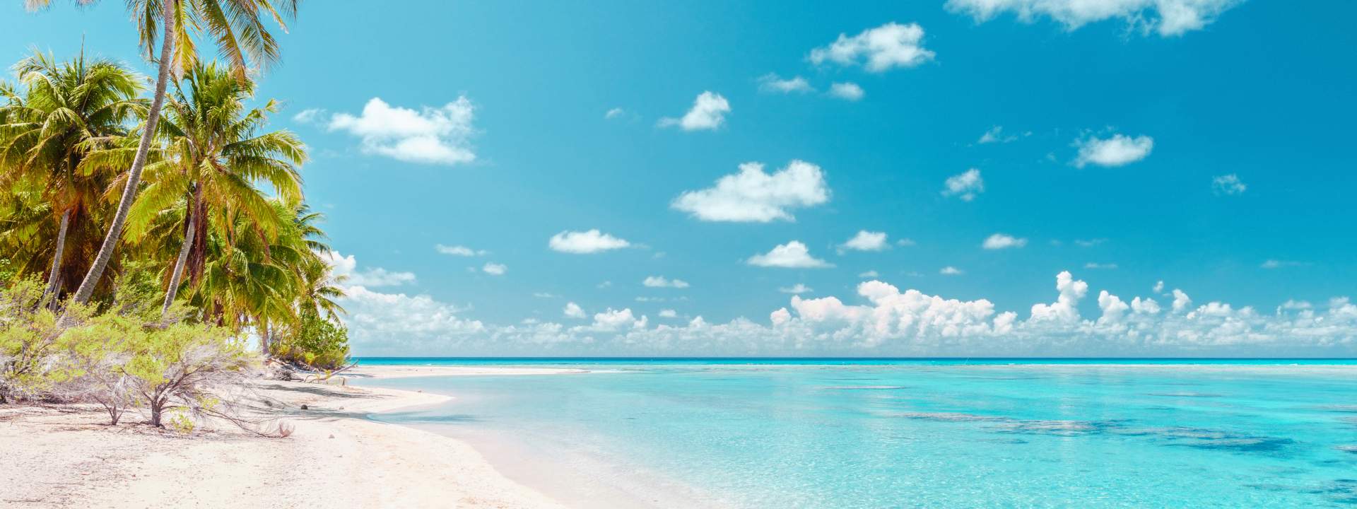 Explore the sublime atolls of the Tuamotu archipelago