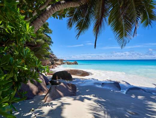 Cruise the Seychelles by catamaran