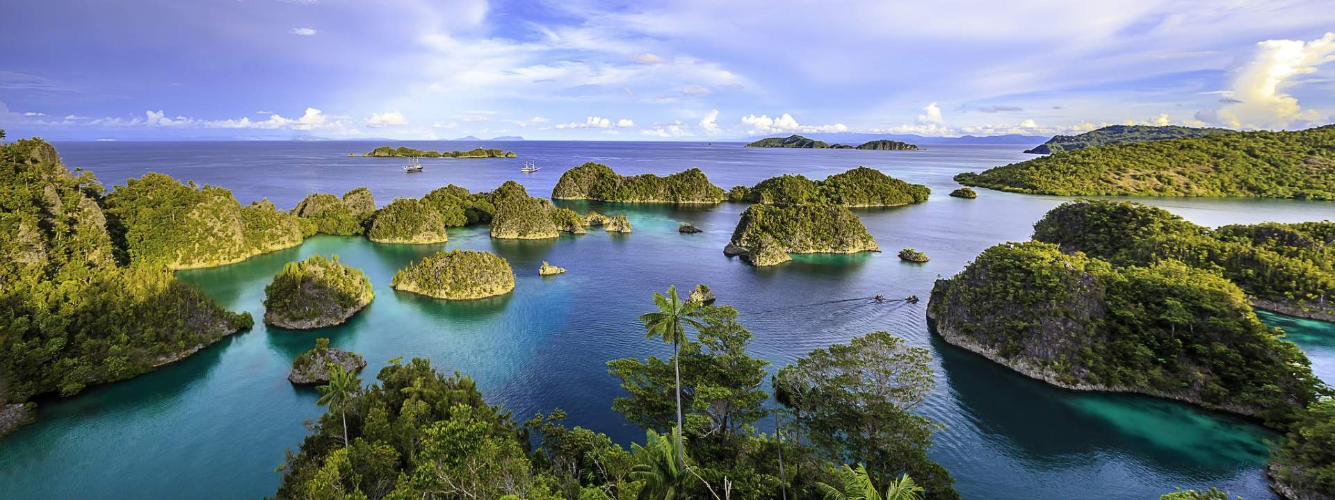 15 Tage lang Tauchen im indonesischen Raja Ampat Archipel