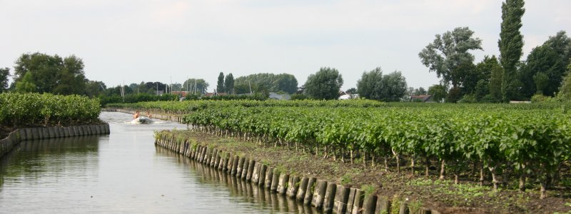 Location bateau Aalsmeer
