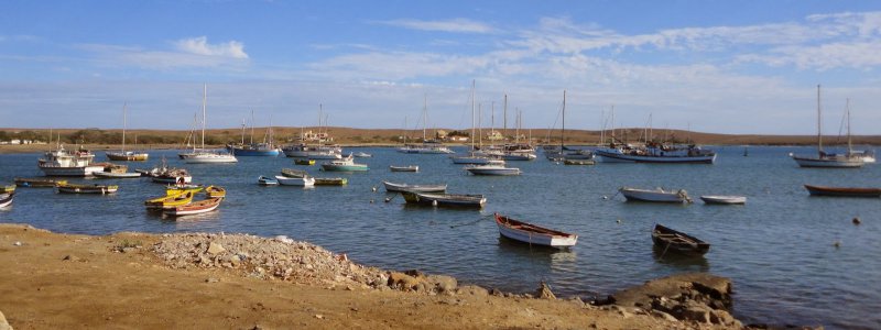 Alquiler barco Palmeira