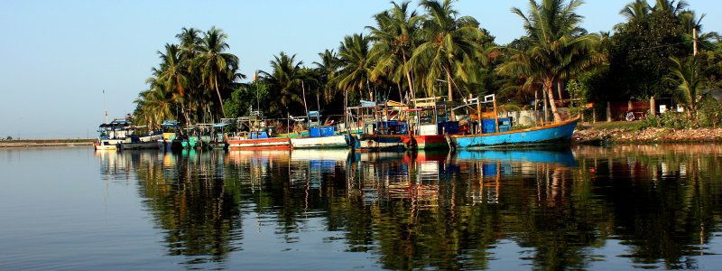 Location bateau Mirissa Fisheries Harbour