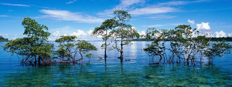 Croisière Îles Andaman