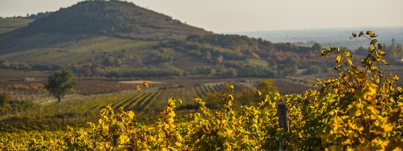 Crucero Tokaj