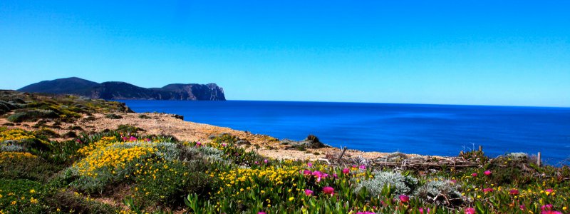 Motor boat charter Sardinia